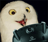 images/avatars/avatar-1035.gif