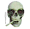 images/avatars/avatar-331.gif