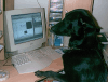 images/avatars/avatar-393.gif