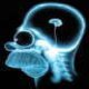 images/avatars/avatar-412.jpg